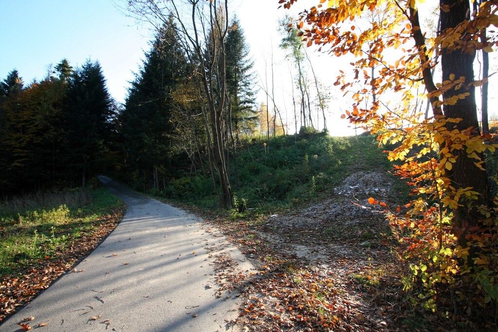 Działka rolna Siemiechów. Zdjęcie 2