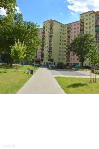 Lokal Dąbrowa Górnicza Gołonóg, al. Józefa Piłsudskiego. Zdjęcie 1