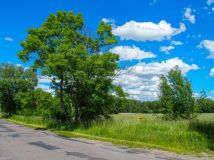 Działka Warpęsy. Zdjęcie 1