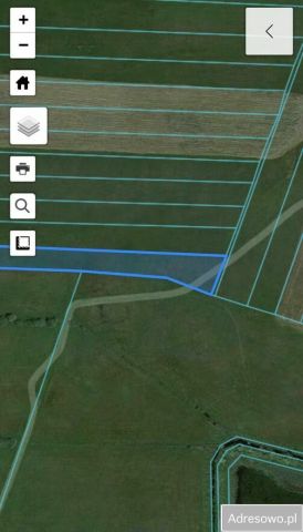 Działka rolna Wolwark. Zdjęcie 1