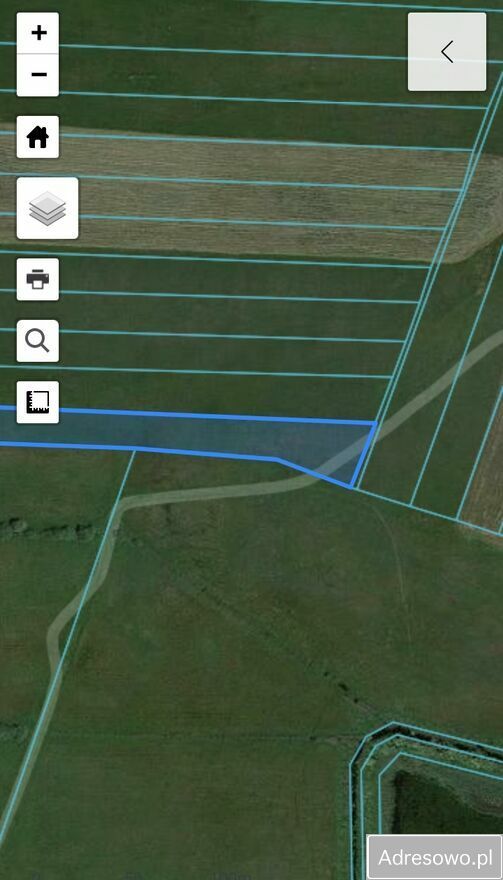 Działka rolna Wolwark