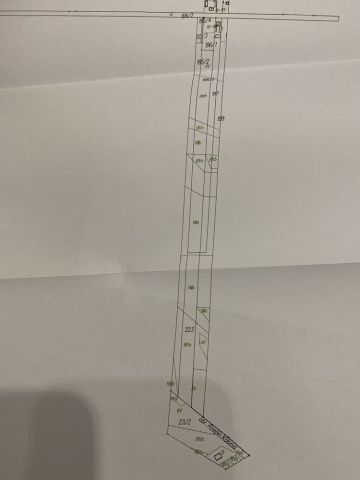 Działka rolna Rzepin Pierwszy. Zdjęcie 1