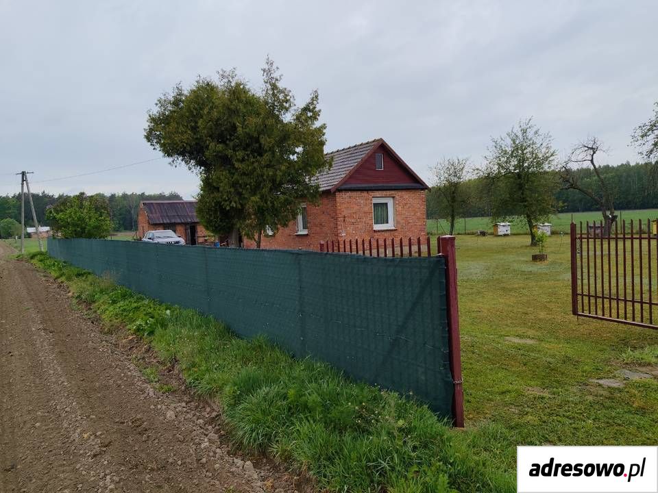 Działka siedliskowa Zieleniec. Zdjęcie 2