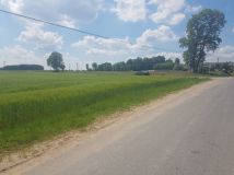 Działka rolna Ozorów. Zdjęcie 3