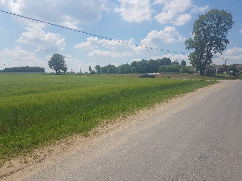 Działka rolna Ozorów. Zdjęcie 4