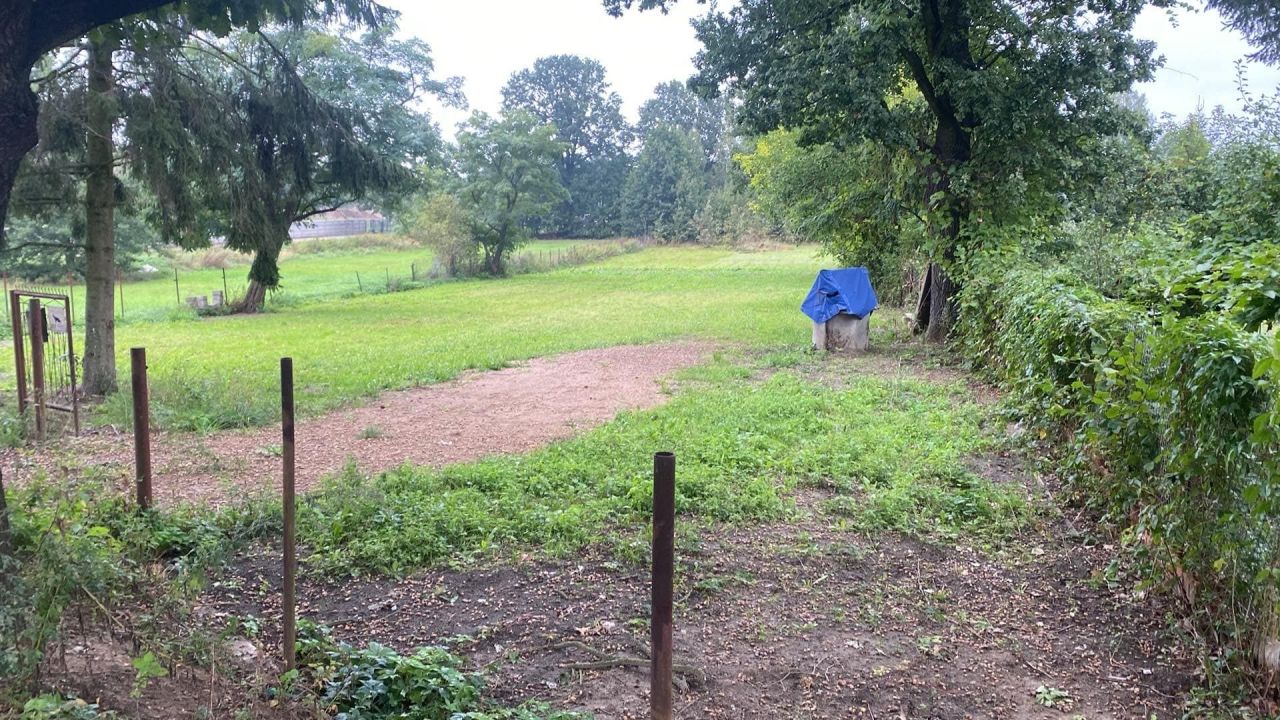 Działka budowlana Dobre. Zdjęcie 2