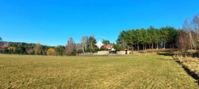 Działka rolna Marcinkowo. Zdjęcie 2