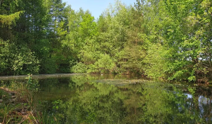 Działka inwestycyjna Przyjaźń