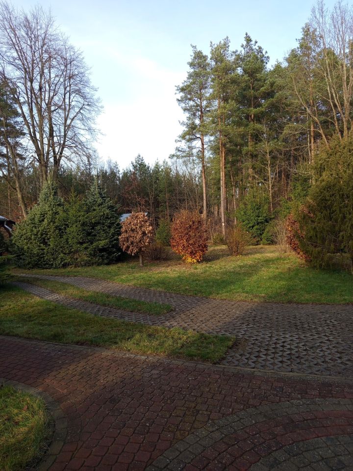 dom wolnostojący, 4 pokoje Płozy. Zdjęcie 7