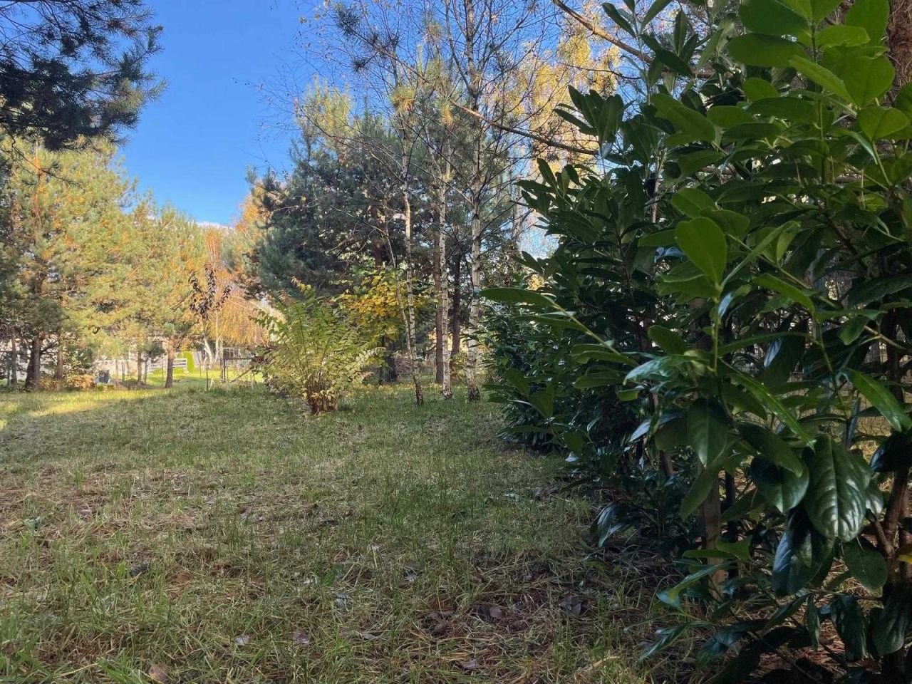 Działka budowlana Czerniewo. Zdjęcie 4