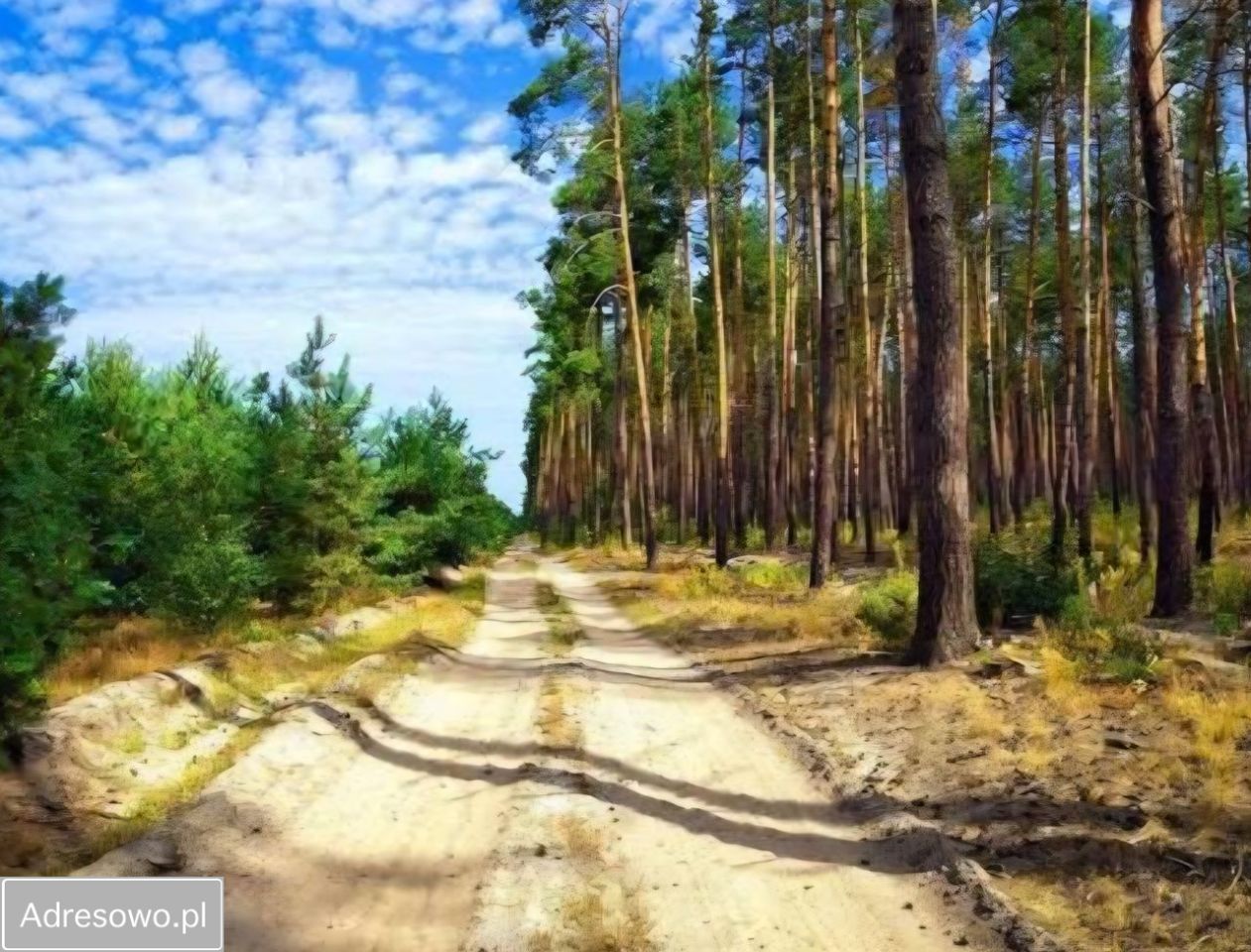 dom wolnostojący, 3 pokoje Drogoszowice. Zdjęcie 7