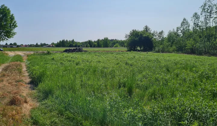 Działka budowlana Gabryelin, ul. Polna