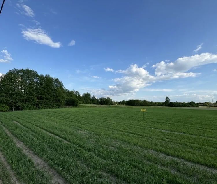 Działka budowlana Bakałarzewo. Zdjęcie 2