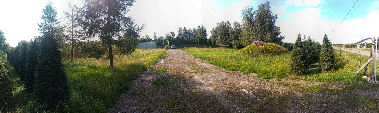 Działka siedliskowa Batycze. Zdjęcie 6