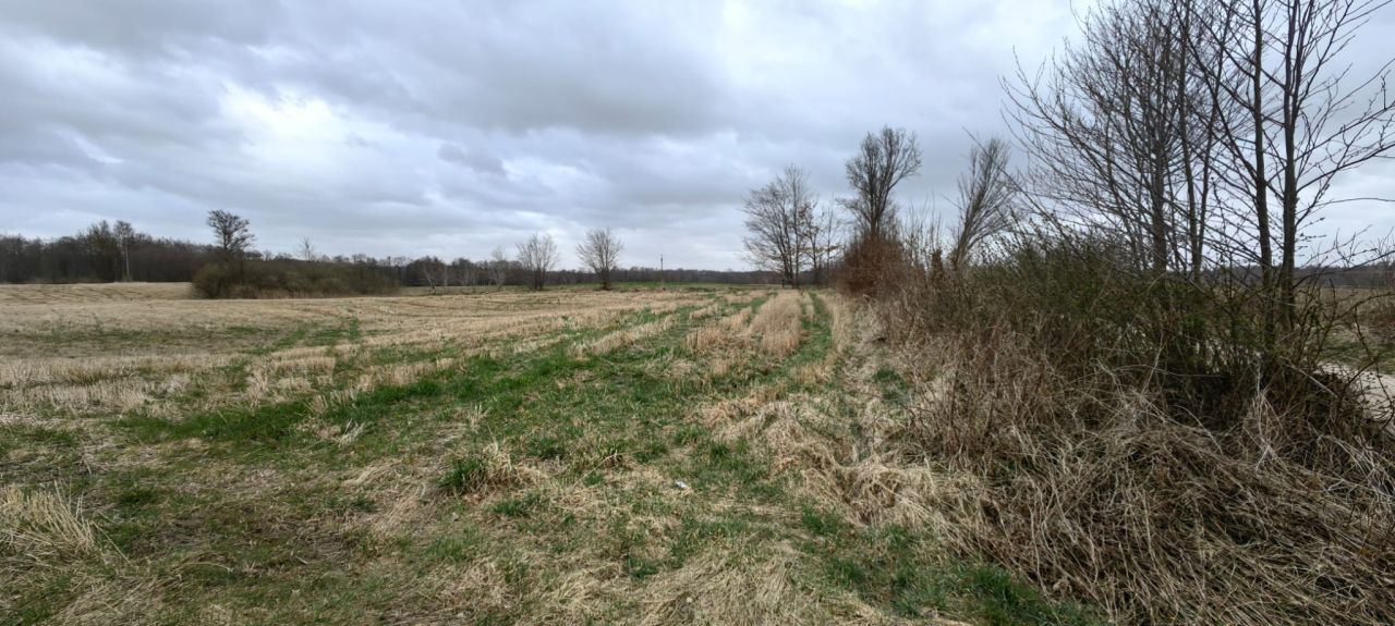 Działka rolna Karszewo. Zdjęcie 18