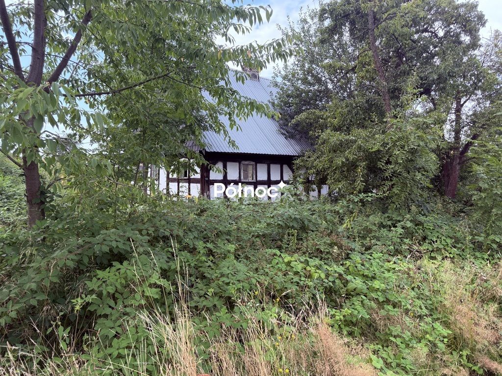 dom wolnostojący, 4 pokoje Skorzynice. Zdjęcie 12