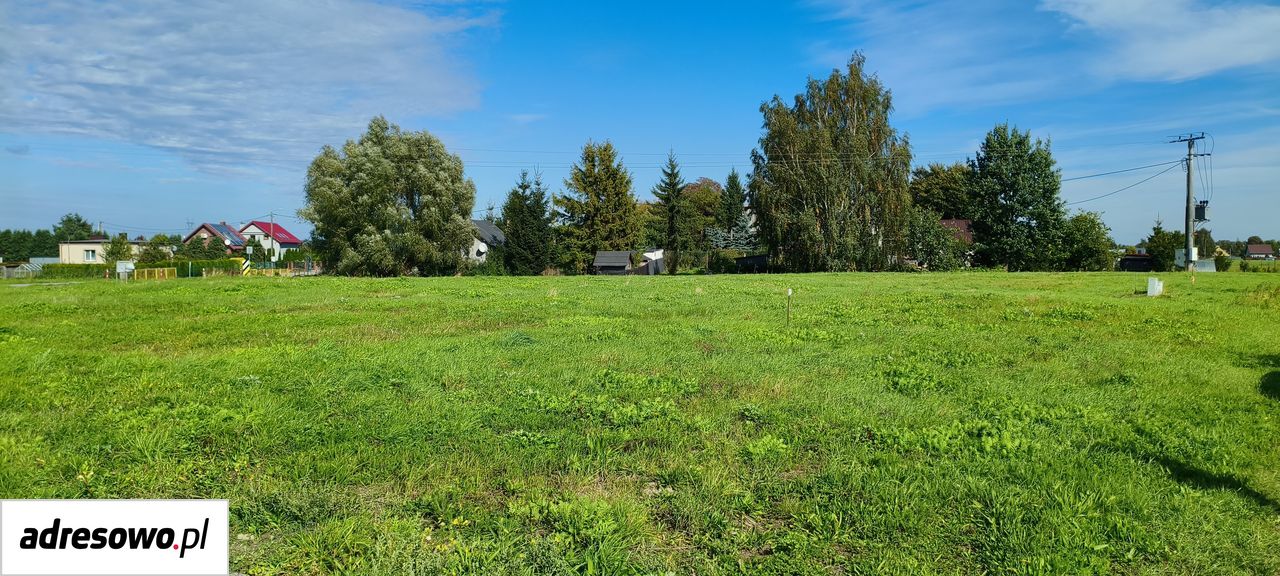 Działka rolno-budowlana Cedry Małe. Zdjęcie 10