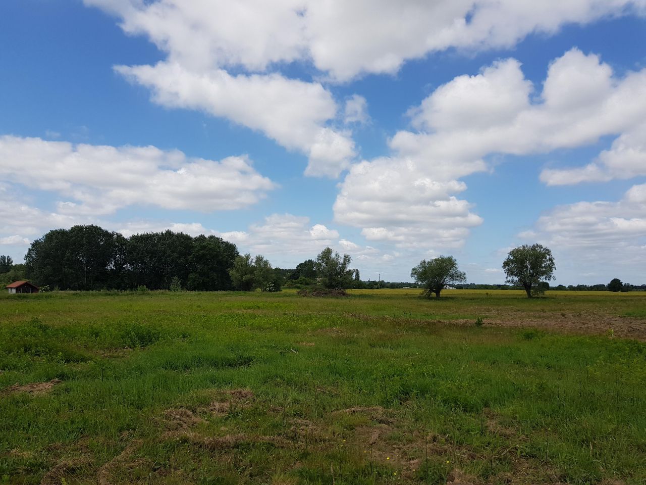 Działka budowlana Ciechocinek, ul. Nieszawska. Zdjęcie 5