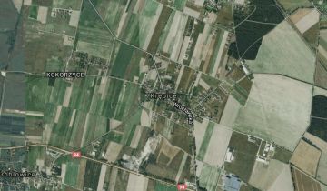 Działka budowlana Krępice, ul. Sosnowa