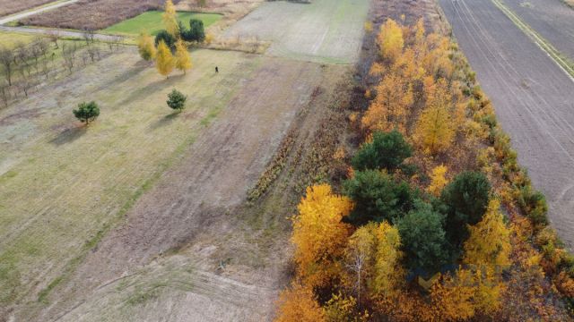 Działka budowlana Borzęcin Duży, ul. Chabrowa. Zdjęcie 5