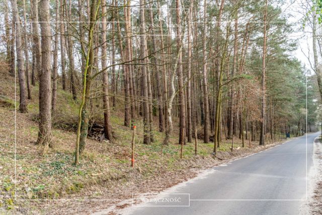 Działka budowlana Chrzypsko Małe. Zdjęcie 10
