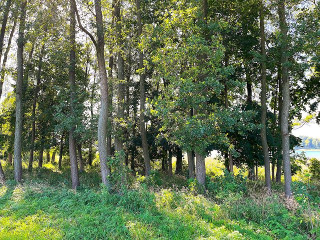 Działka budowlana Zawada. Zdjęcie 4