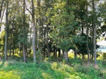 Działka budowlana Zawada. Zdjęcie 3