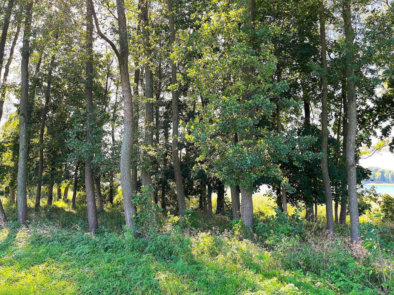 Działka budowlana Zawada. Zdjęcie 4
