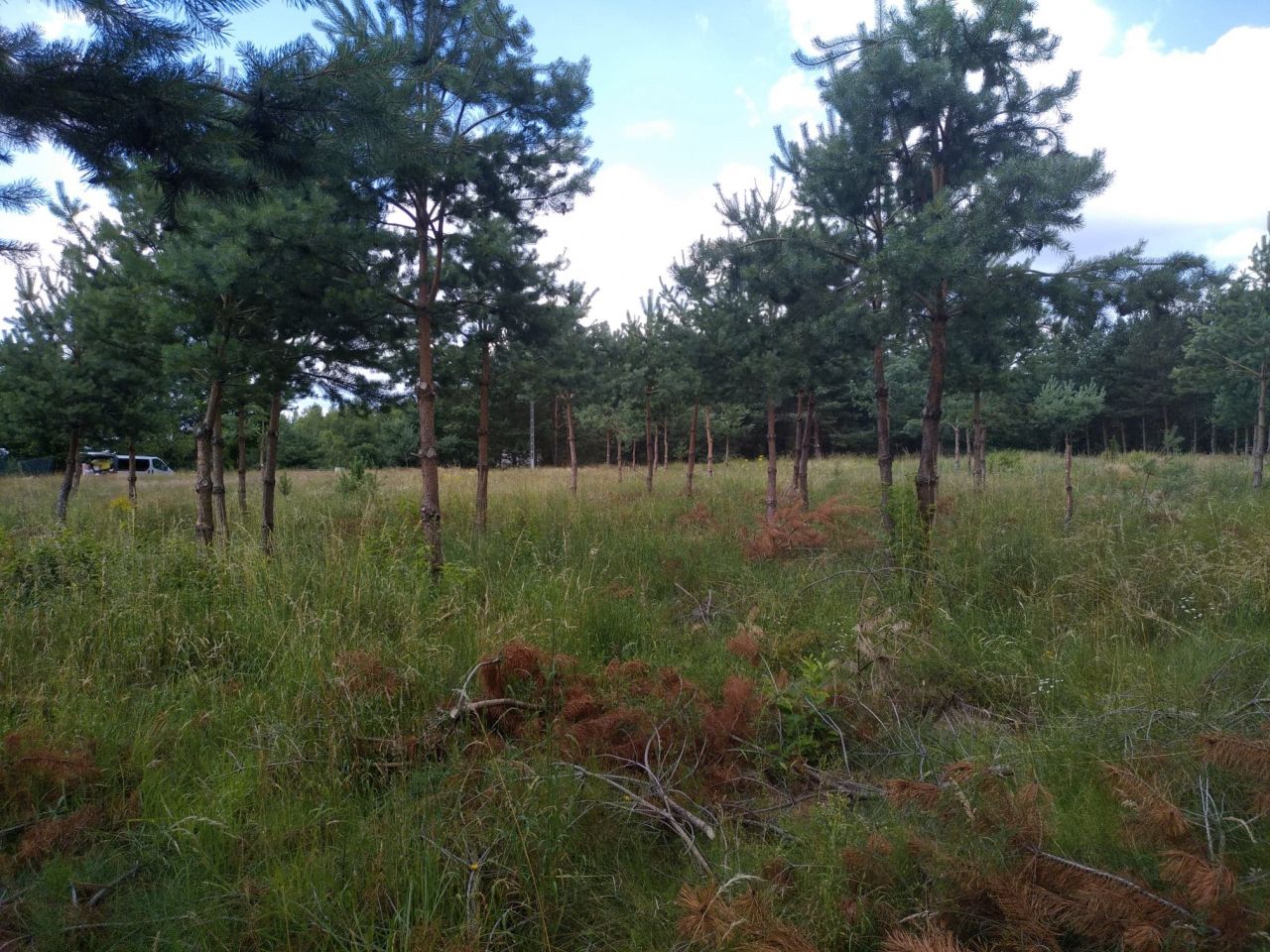 Działka budowlana Bartoszylas. Zdjęcie 15