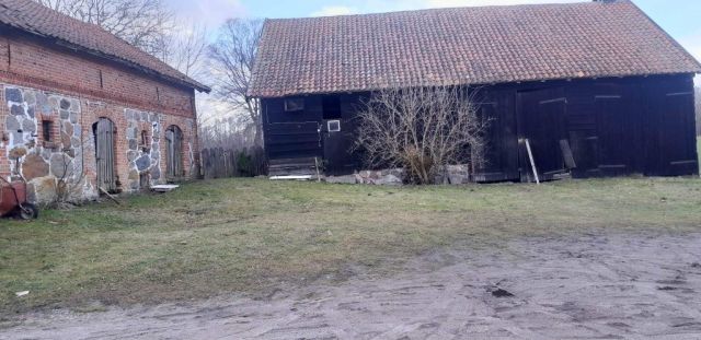 Działka siedliskowa Burszewo. Zdjęcie 1