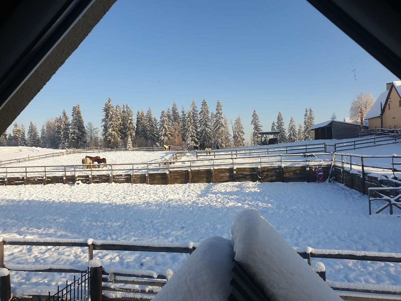 Działka rolno-budowlana Zakopane Zoniówka, ul. Zoniówka. Zdjęcie 2