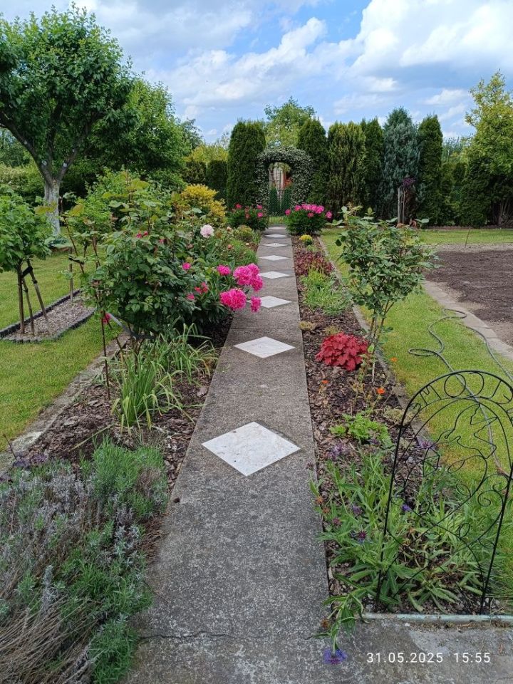 Działka rod Świdnica, ul. Komunalna. Zdjęcie 8