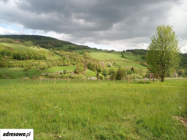 Działka rolna Włodowice, Działka 80/16. Zdjęcie 1