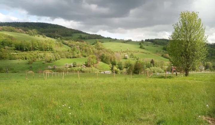 Działka rolna Włodowice, Działka 80/16