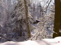 dom wolnostojący, 3 pokoje Magdalenka, ul. Piaskowa. Zdjęcie 1