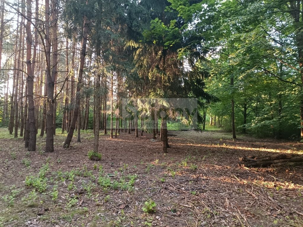 Działka budowlana Sulejówek Ratajewo. Zdjęcie 2