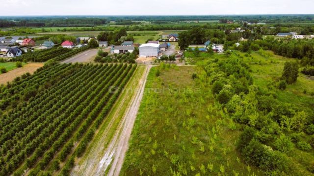 Działka budowlana Barcice Drwalewskie. Zdjęcie 1