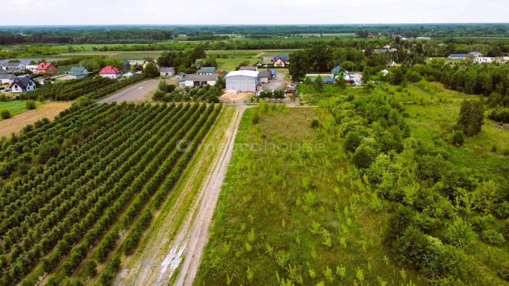 Działka budowlana Barcice Drwalewskie