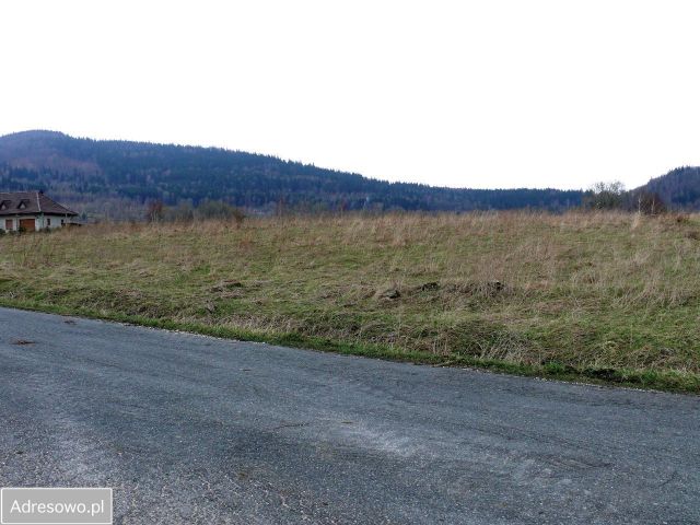Działka budowlana Stara Morawa. Zdjęcie 1