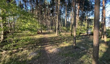 Działka rolno-budowlana Cekcyn Cekcynek