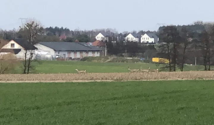 Działka budowlana Niepruszewo