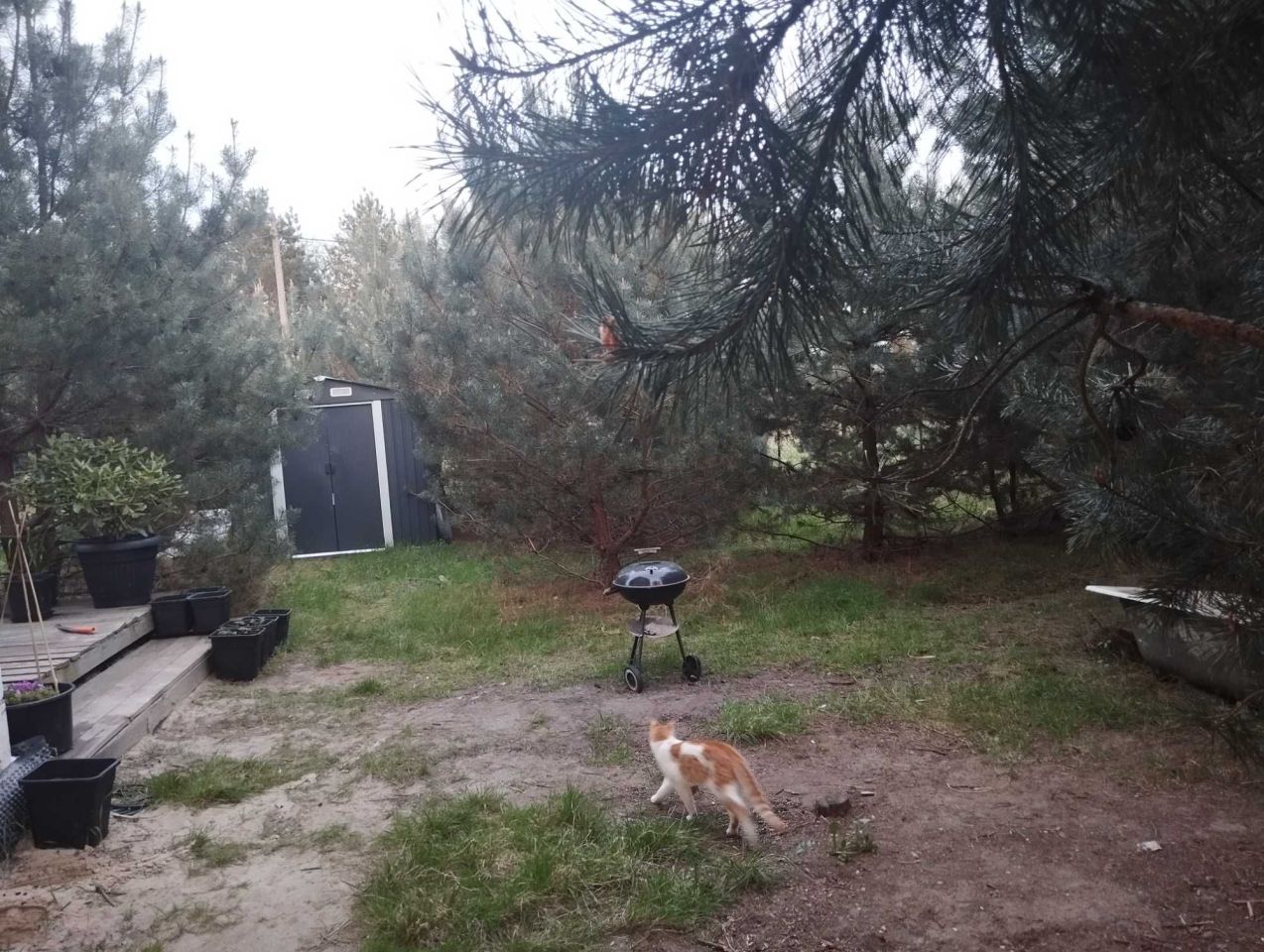 dom wolnostojący Stefanów. Zdjęcie 8