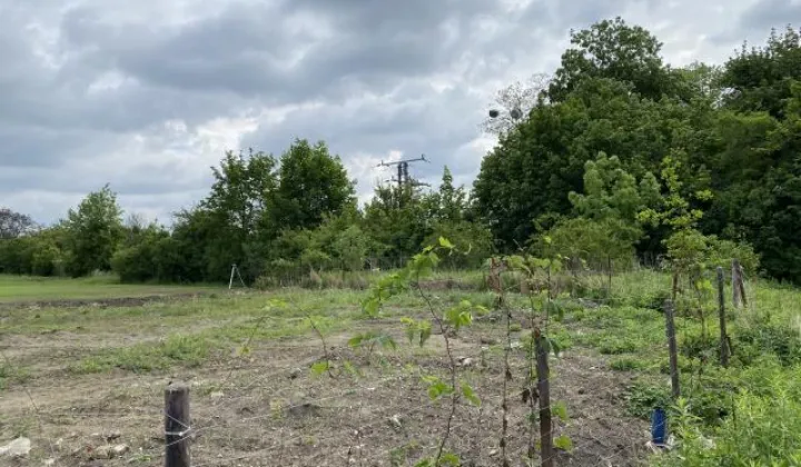 Działka budowlana Wrocław Krzyki, al. Róż