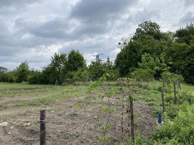 Działka budowlana Wrocław Krzyki, al. Róż. Zdjęcie 1