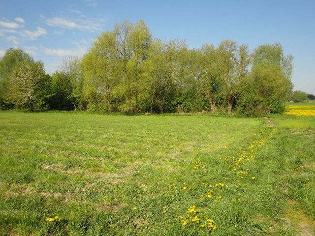 Działka rolno-budowlana Dłutowo. Zdjęcie 1