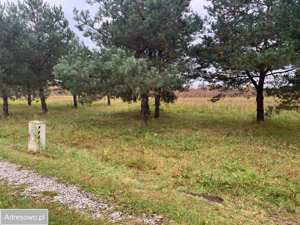 Działka rolna Podole. Zdjęcie 6