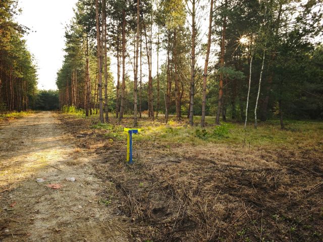 Działka budowlana Wierzchosławice Szujec. Zdjęcie 1