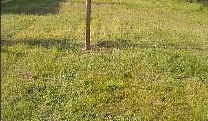 Działka rolna Głogów Małopolski, al. Niepodległości