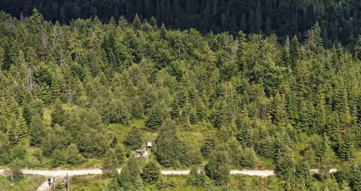 Działka leśna Szczyrk Biały Krzyż, ul. Grabowa. Zdjęcie 4