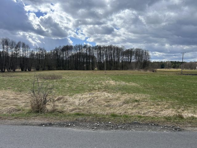 Działka budowlana Złotoria, ul. Lipowa. Zdjęcie 1